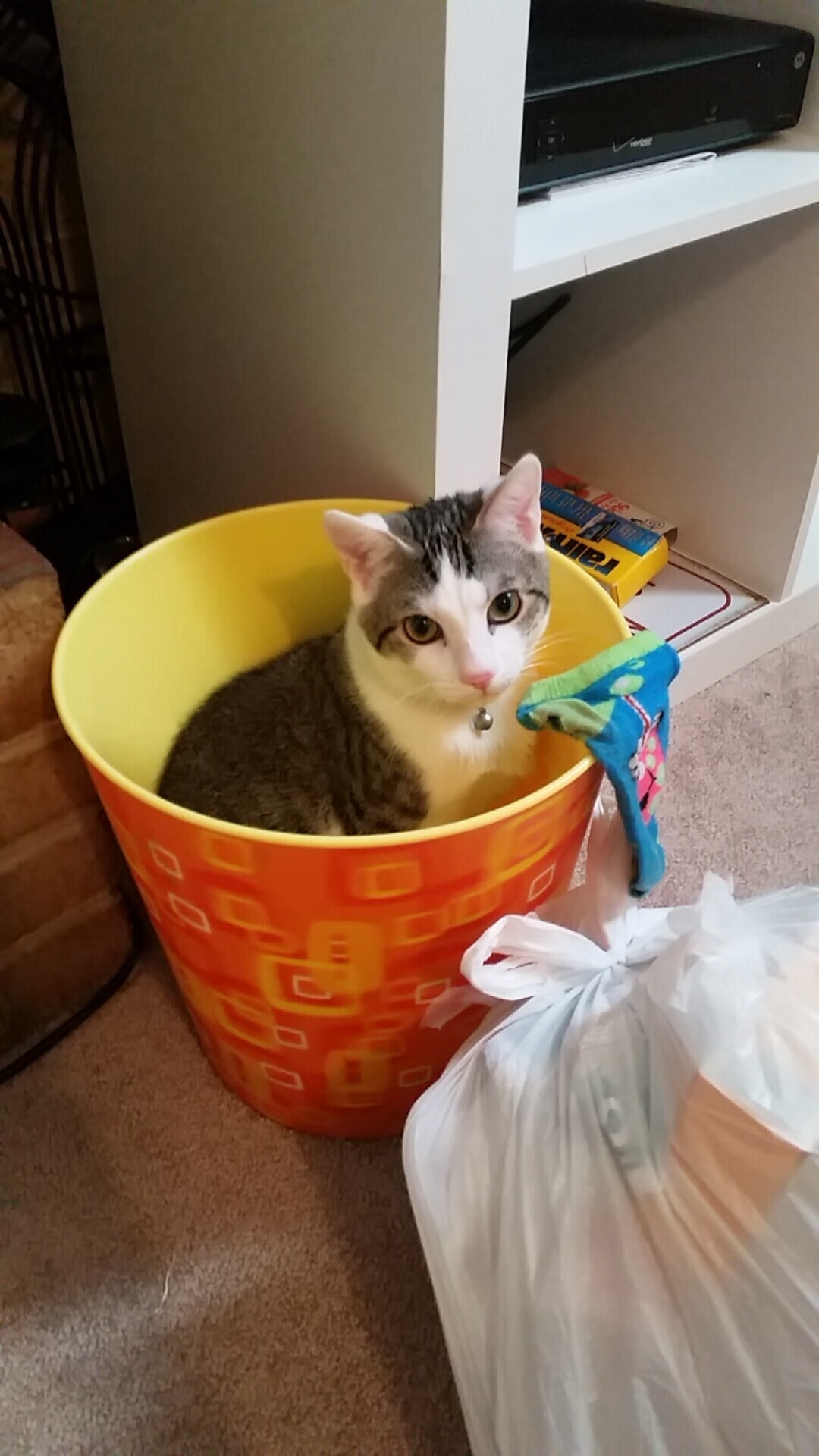 伊朗球员登上冬奥官方封面,改写亚洲足球地位,伊朗参加东京奥运会几个人