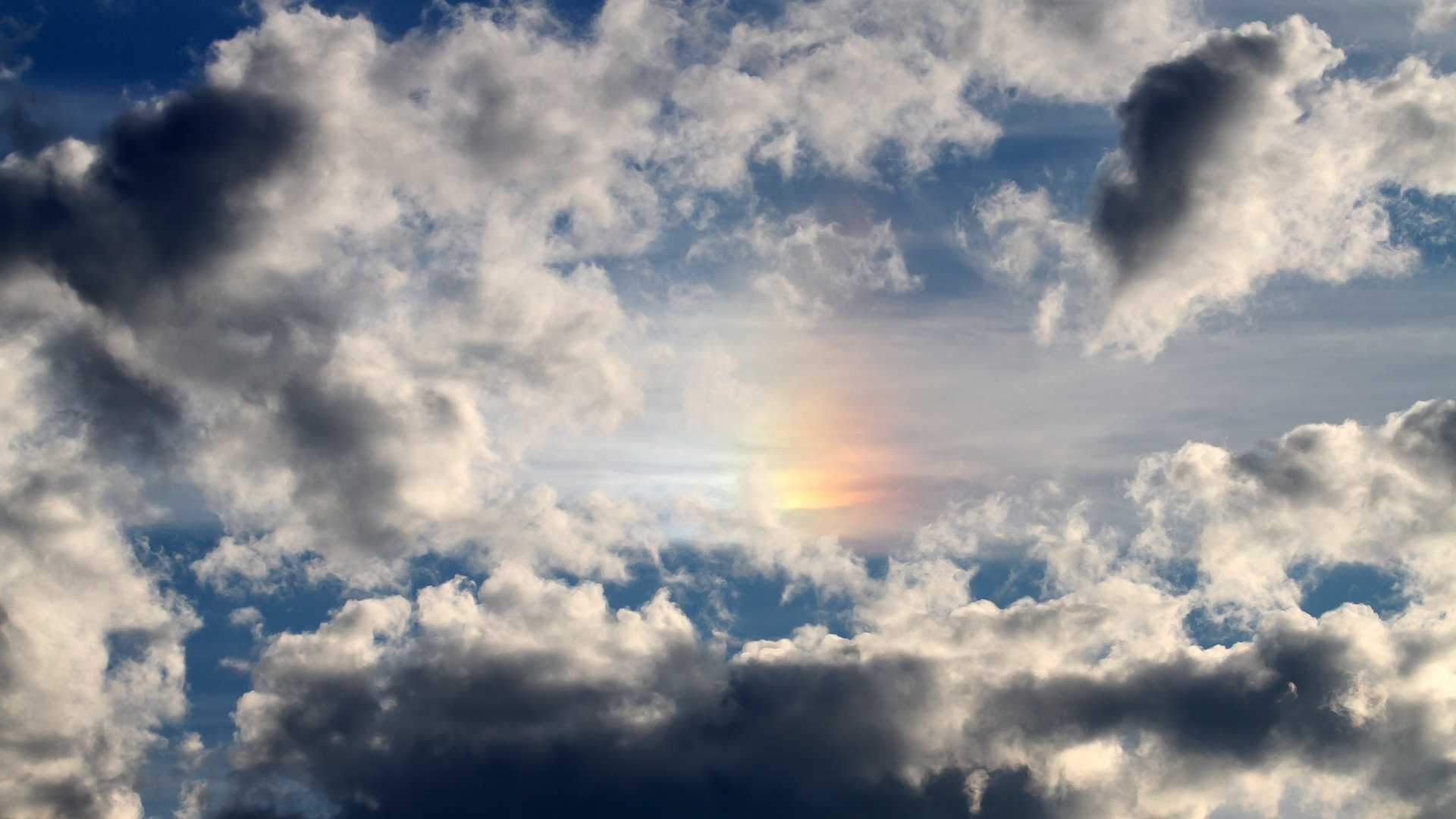 传统武术表演秀，传递文化正能量，武术 表演