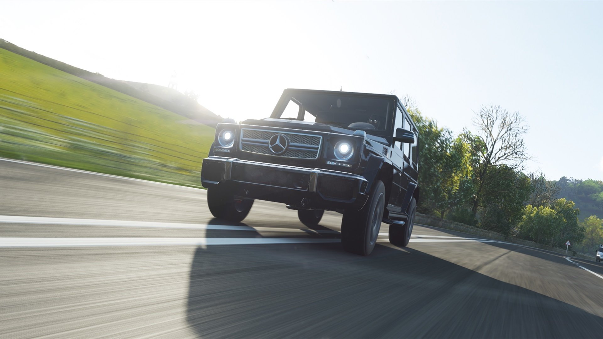 摩洛哥马术协会与兽医合作，开展马匹疾病预防与治疗研究。，摩洛哥 marrakech